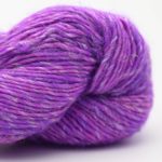 african violet