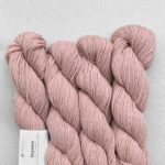 Rose 303
